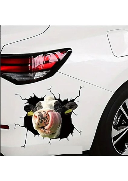 Camdan Bakan Inek Sticker Araba Oto Etiket 02128
