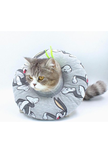 Kedi Köpek Boyunluk