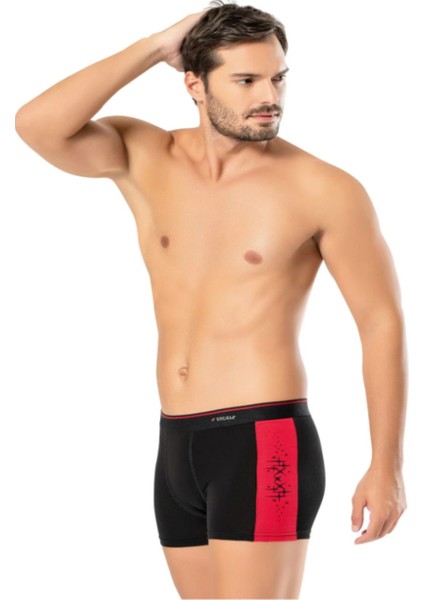 Iç Giyim Erdem Çift Renk Likra Boxer (3 Adet)