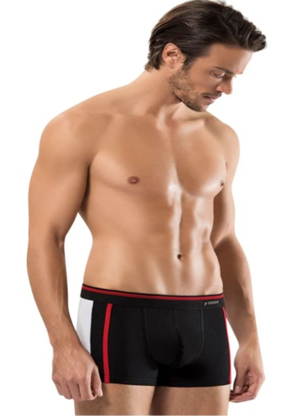 Iç Giyim Erdem Renkli Dubble Line Elastan Boxer (3 Adet) modelleri