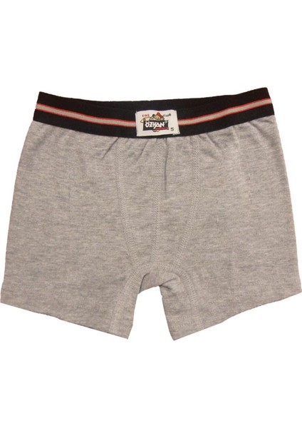 6'lı Paket Erkek Çocuk Pamuklu Yumuşak Esnek Örme Boxer fiyatları