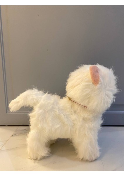 Müzikli Yürüyen Dokununca Miyavlayan Yalayan Kuyruk ve Başını Sallayan Kumandalı Ses Kaydını Tekrarlayan Peluş Beyaz Kedi fiyatları