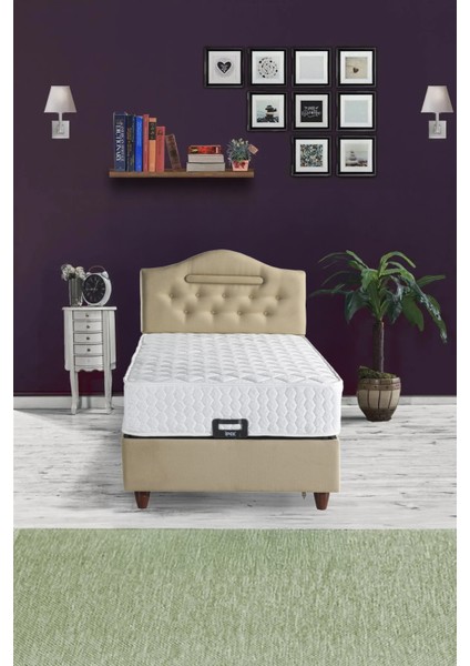Ipek Mobilya Nima Baza Tek Kişilik (Bej) 100X200