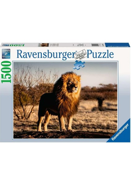 Puzzle 17107 Yetişkin Bulmaca