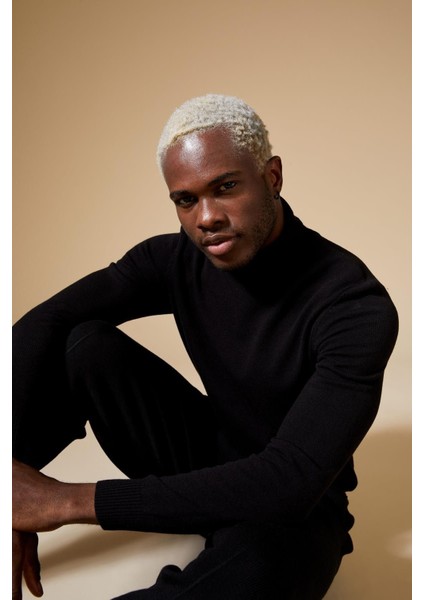 Erkek Pullover R1124AZ fiyatları