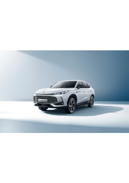 MG HS Phev 2024 + 3D Havuzlu Paspas Siyah