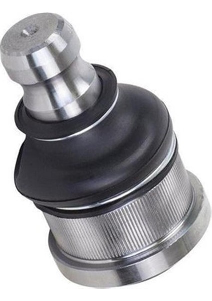 Wh Üst Rotil Kraftvoll