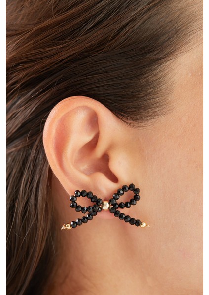 Fiyonk Model Siyah Taşlı Küpe fiyatları