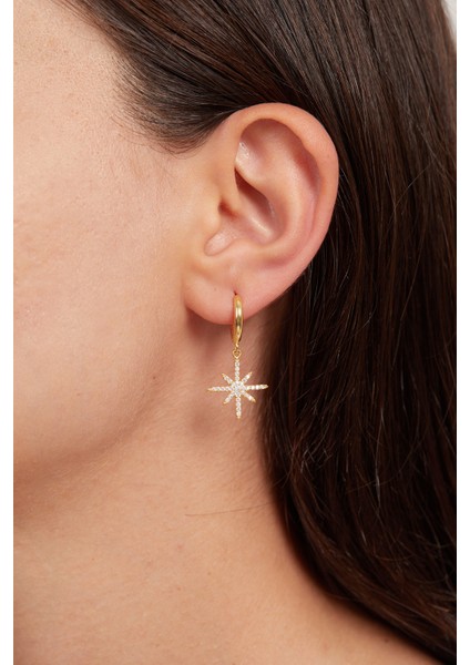 925 Ayar Gümüş Kutup Model Küpe