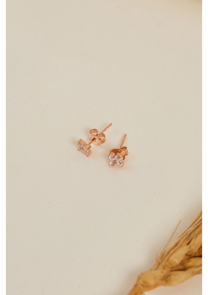 925 Ayar Gümüş Minimal Rose Kaplama Küpe indirimleri