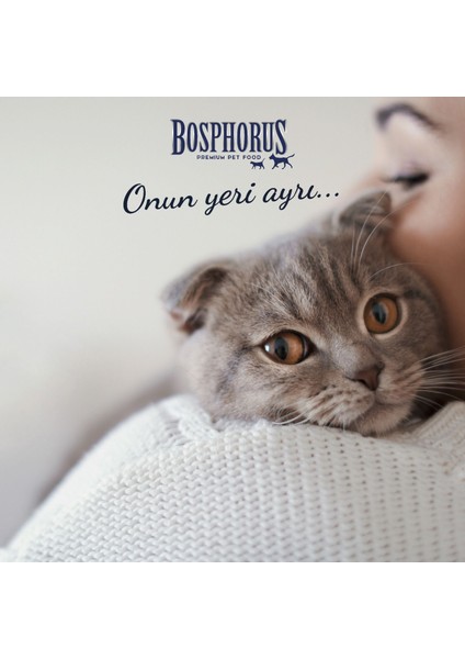Gurme Kedi Konservesi 12 x 415 g Kutu