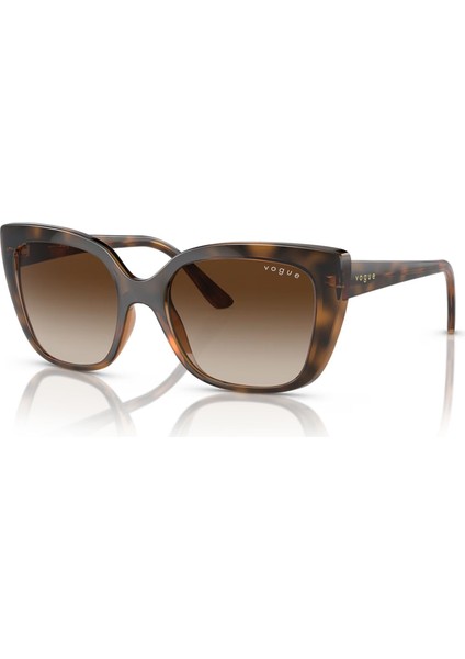 5337S 238613 53 Kadın Güneş Gözlüğü fiyatları