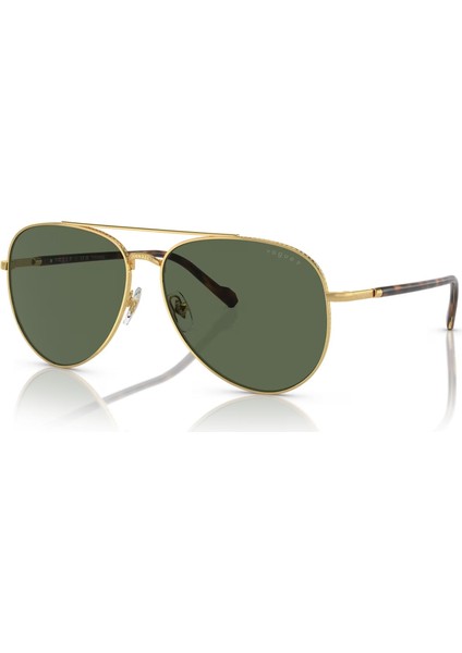 4290 280/9A 60 Unisex Güneş Gözlüğü