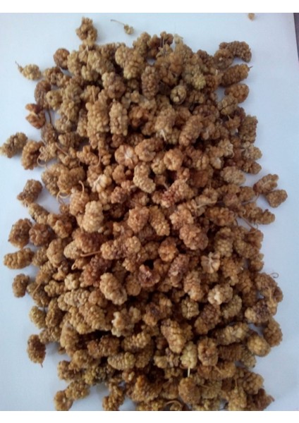 Tortum Dut Kurusu 1 kg fiyatları