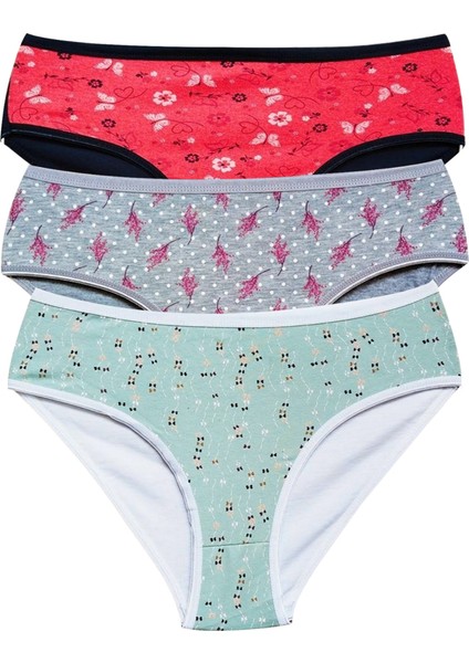 Pamuklu Geniş Kenarlı Likralı Desenli Bato Kadın Külot 3'Lü Paket Set1