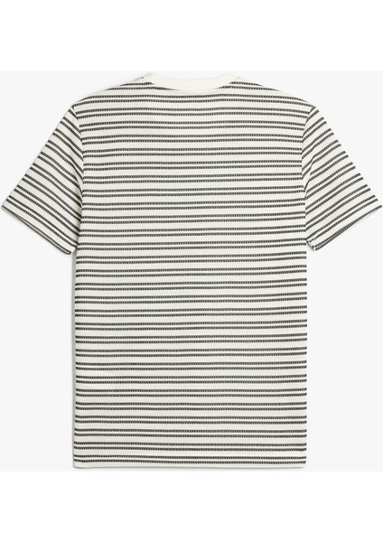 Çizgili Kısa Kollu Bisiklet Yaka Slim Fit Tişört