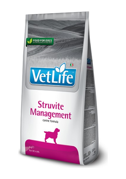 Struvite Köpek Maması 2 kg