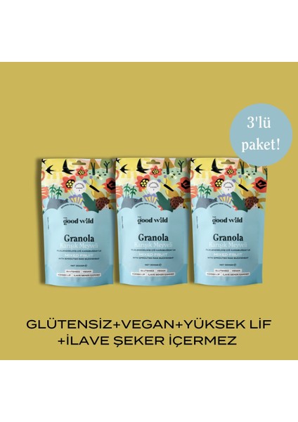 Glütensiz, İlave Şekersiz Granola Karışık Meyveli 3'lü Avantaj Paketi