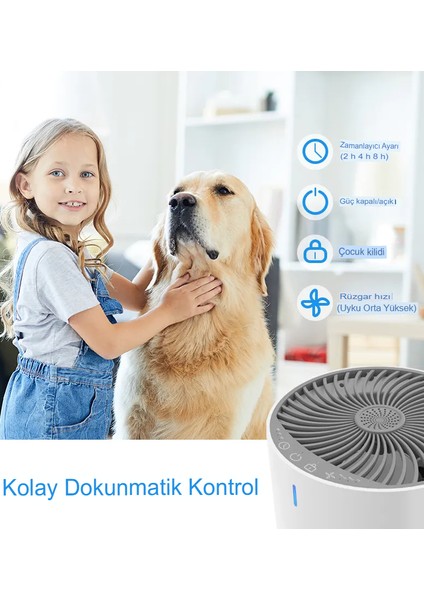 Hava Evi Için Masaüstü Temizleyici, Küçük Negatif Iyon Arıtma Cihazı Hava Temizleyici USB fiyatları