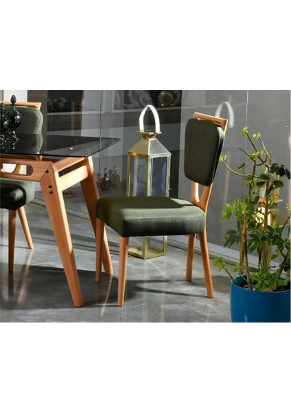 Venüs Ahşap Iskandinav Sandalye modelleri