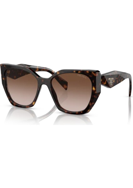 Mılano Kadın Güneş Gözlüğü 19Z 5517 2AU6S1 145