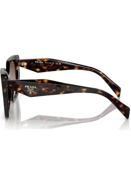 Mılano Kadın Güneş Gözlüğü 19Z 5517 2AU6S1 145 fiyatları