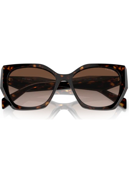 Mılano Kadın Güneş Gözlüğü 19Z 5517 2AU6S1 145 indirimleri