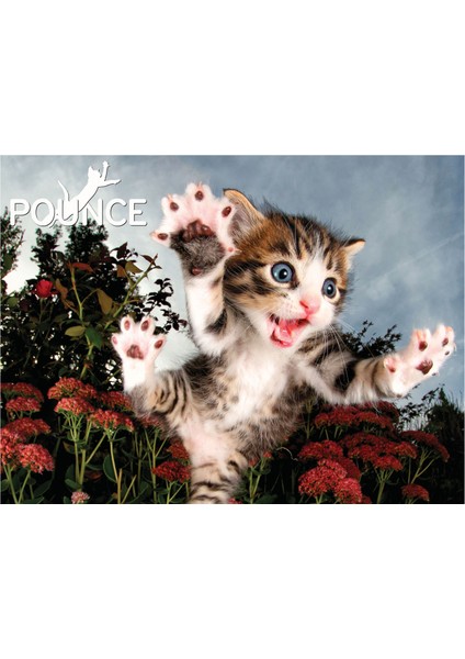 Kedi Pençesi Puzzle 100 Parça 10562