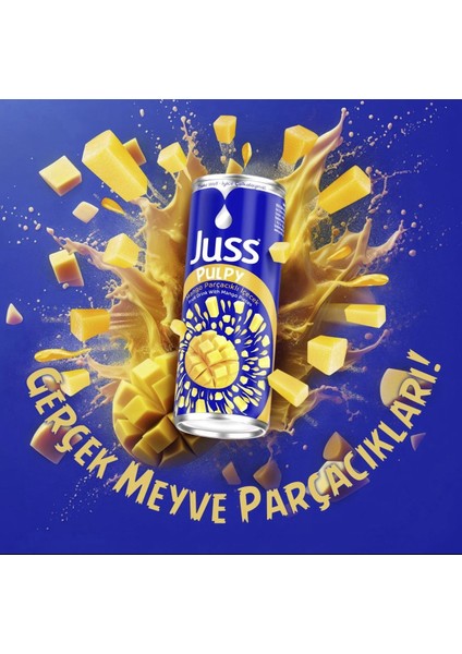Mango Parçacıklı İçecek 250ML 24 Adet
