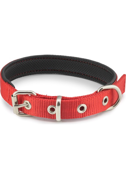 Küçük Irk Köpek Kolon Boyun Tasma