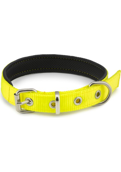 Küçük Irk Köpek Kolon Boyun Tasma