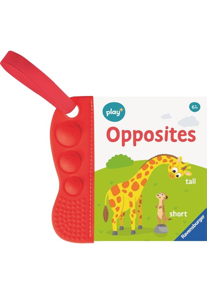 Play+ Infant & Toddler - Flip & Pop: Opposites