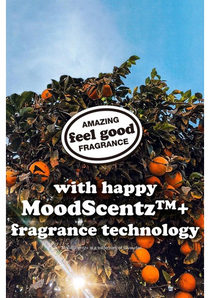 Happy Soul Durulanmayan Saç Kremi 207ML fırsatları