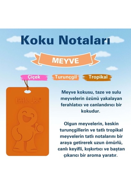 Meyve Kokulu Dolap Asma Kart (Fruit) -45 Gün -Ipli Ev Oto Kokusu -Ayna Parfümü modelleri