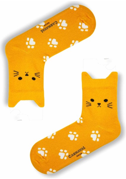 5'li KEDİ ŞEKİLLİ Havalı Çorap Seti