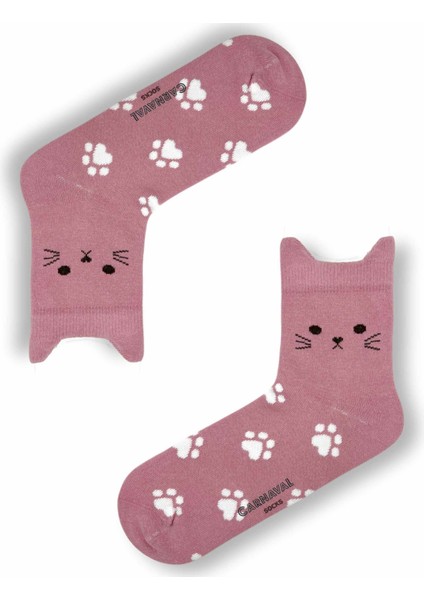 5'li KEDİ ŞEKİLLİ Havalı Çorap Seti