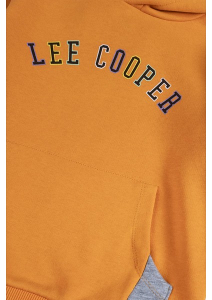 Brian Erkek Çocuk Kapüşonlu Sweatshirt Turuncu fiyatları