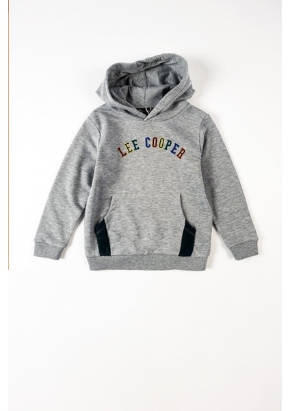 Brian Erkek Çocuk Sweatshirt Gri