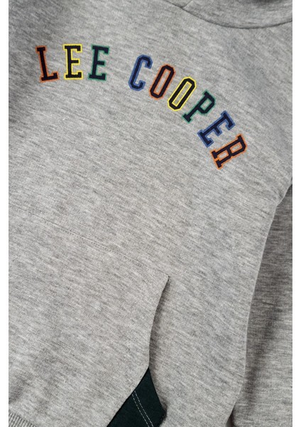 Brian Erkek Çocuk Sweatshirt Gri fiyatları