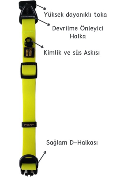 Su Geçirmez Sağlam D-Halkalı Sarı Köpek Boyun Tasması - L