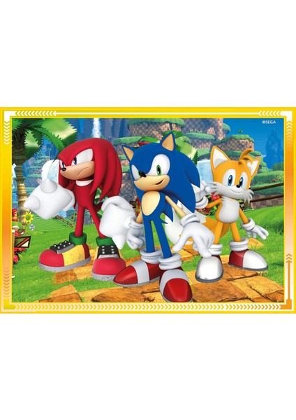 21522 Sonic Puzzle