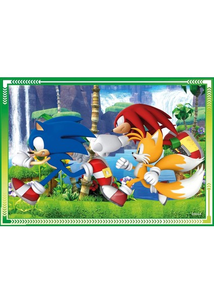 21522 Sonic Puzzle