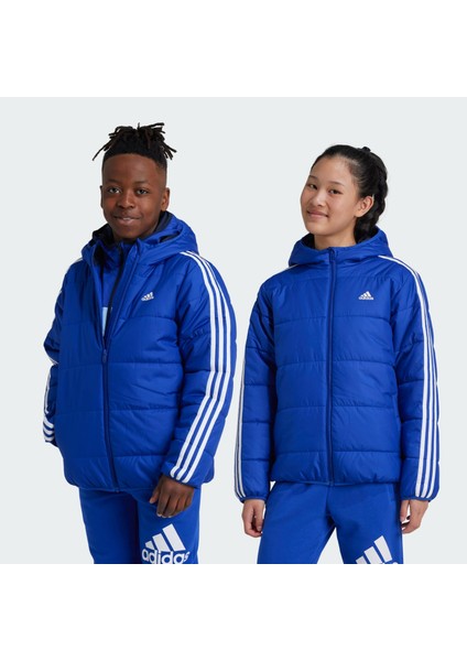 Sportswear IW0543 Essentials 3-Stripes Padded Jacket