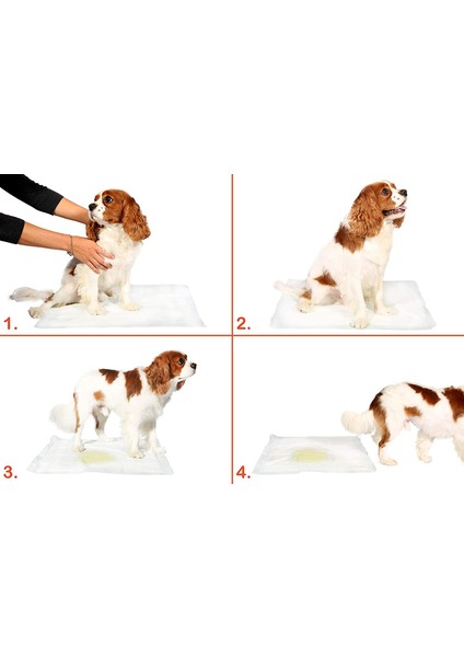 Yıkanabilir Köpek Çiş Pedi - 100 x 100 cm (324324)