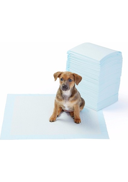 Yıkanabilir Köpek Çiş Pedi - 100 x 100 cm (324324)