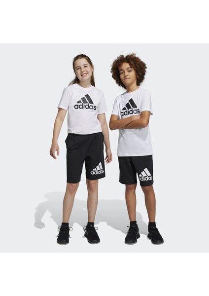 Sportswear HY4718 Essentials Big Logo Cotton Shorts