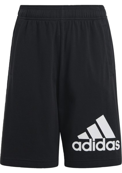 Sportswear HY4718 Essentials Big Logo Cotton Shorts modelleri