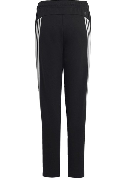 Sportswear HR6313 Future Icons 3-Stripes Ankle-Length Pants