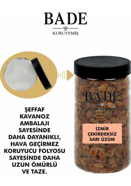 Sarı Çekirdeksiz Izmir Üzümü Iri Boy 750 Gr. fırsatları