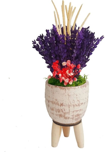Lavanta Cream Kuru Çiçek Aranjman & Dekoratif Çiçek 15-20 cm & Doğum Günü Hediyesi